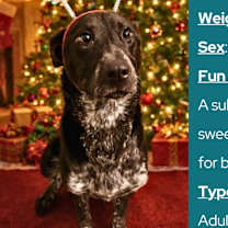 Thumbnail photo of Jovie #1