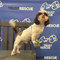 Thumbnail photo of WAFFLES #2