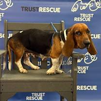 Thumbnail photo of DELTA #2