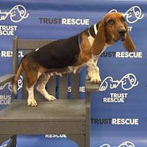 Thumbnail photo of DELTA #3