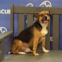 Thumbnail photo of ARTIE #3