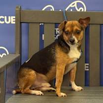 Thumbnail photo of ARTIE #4