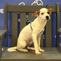 Thumbnail photo of ARTHUR #3