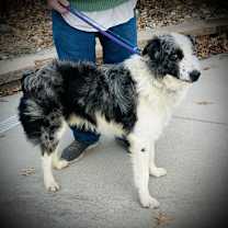 Thumbnail photo of 1010 Urban (fka Chase) #3