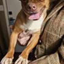 Thumbnail photo of HERCULES-TONS OF FUN #3