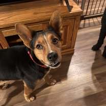 Thumbnail photo of Ryder #2