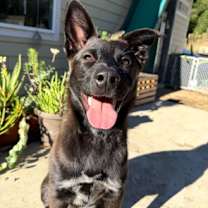 Thumbnail photo of Alexie #1