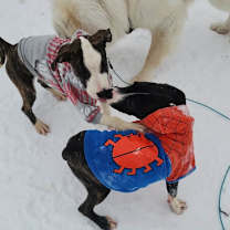 Thumbnail photo of Turkey #3