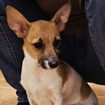 Thumbnail photo of BATMAN #2