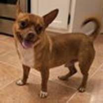 Thumbnail photo of HERCULES-TONS OF FUN #4