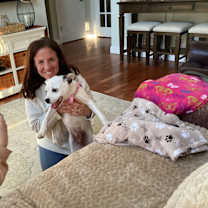 Thumbnail photo of Bunny #3