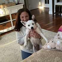 Thumbnail photo of Bunny #4