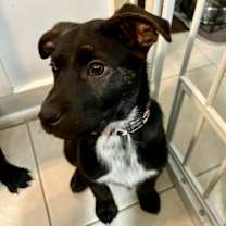 Thumbnail photo of Jesse #3