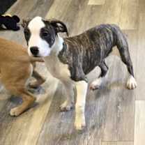 Thumbnail photo of Spice #2