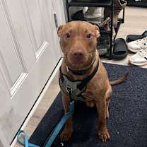 Thumbnail photo of Buddy #3