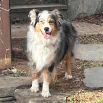 Thumbnail photo of Rory VA #1