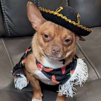 Thumbnail photo of HERCULES-TONS OF FUN #3