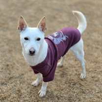 Thumbnail photo of Roco #1