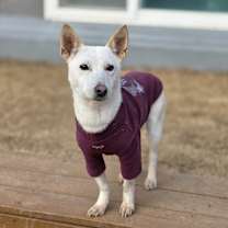 Thumbnail photo of Roco #3