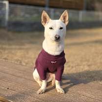 Thumbnail photo of Roco #4