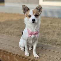 Thumbnail photo of Beauty #1