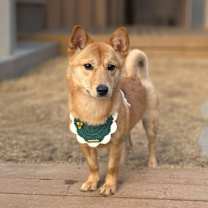 Thumbnail photo of Harry #4