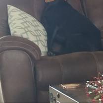 Thumbnail photo of Jaxson #1