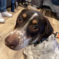 Thumbnail photo of Benny #4