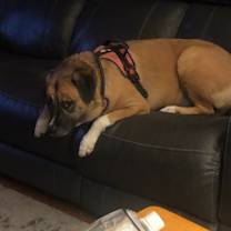 Thumbnail photo of Mattie #2