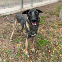 Thumbnail photo of Handsome #2