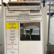 Thumbnail photo of Handsome #4