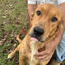 Thumbnail photo of Ellen #1