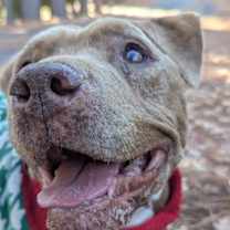 Thumbnail photo of Gorda #4