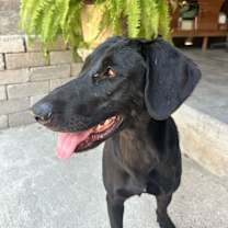 Thumbnail photo of Osa (CP) #4