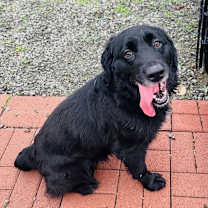 Thumbnail photo of Annie #2