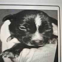 Thumbnail photo of Mary Kate (Stripes) #2