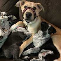 Thumbnail photo of Camila #4