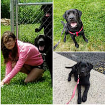 Thumbnail photo of Jaxson #4