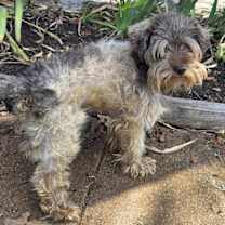 Thumbnail photo of Mr. Bean #3