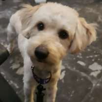 Thumbnail photo of Hunter #2