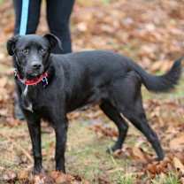 Thumbnail photo of Clyde #2