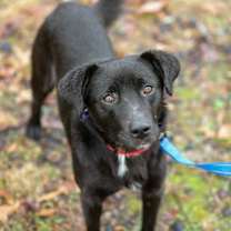 Thumbnail photo of Clyde #3