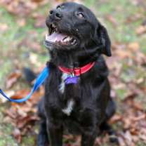 Thumbnail photo of Clyde #4