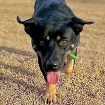 Thumbnail photo of Oscar #4