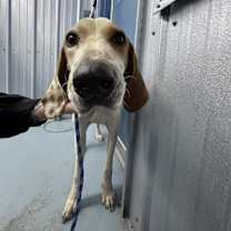 Thumbnail photo of Willie #1