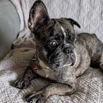 Thumbnail photo of Gladys #1