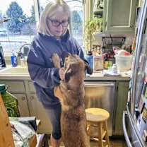 Thumbnail photo of Maple #4