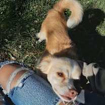 Thumbnail photo of Monte #2