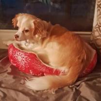 Thumbnail photo of Monte #4