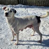 Thumbnail photo of Anya's Ice Ice Baby #2